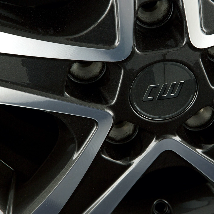 1 Details CWD mistral