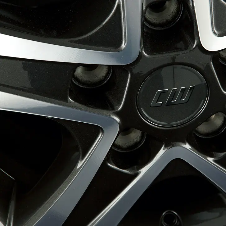 1 Details CWD mistral